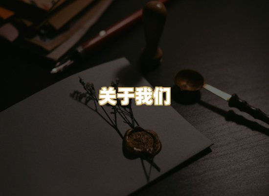 关于我们